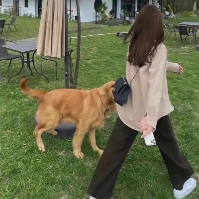 迷惘之城:好莱坞